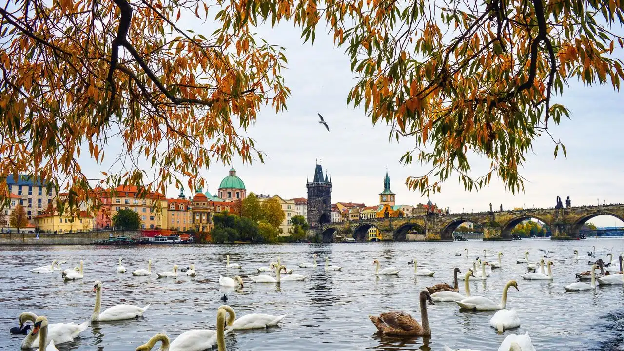 Common Czech Idioms You Will Actually Hear In Everyday Life